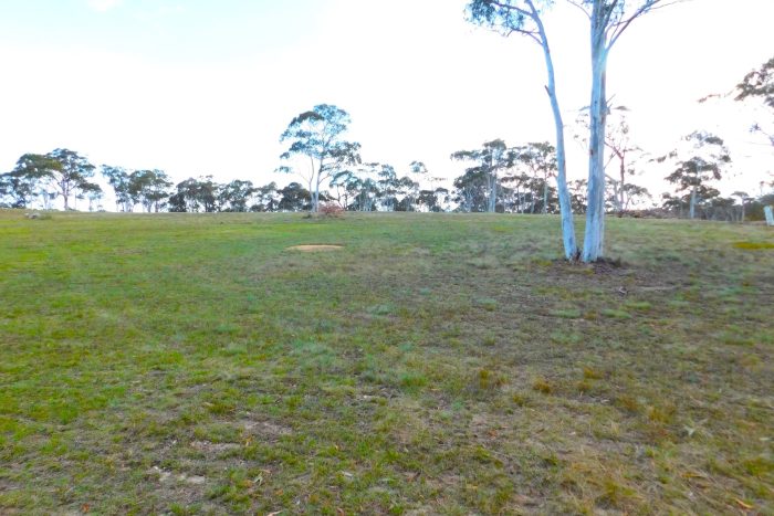 112077370__1727317605-61859-Drone7