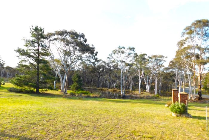 112077440__1727317607-61834-drone2