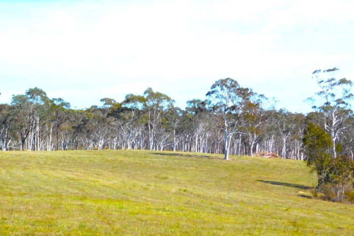 112077493__1727317613-51347-Drone5