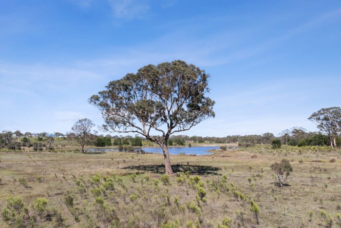132638198__1738028349-157259-16-web-or-mls-Drone-323-Duckfield-Rd-7