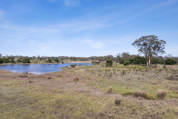 132638202__1738028350-157101-17-web-or-mls-Drone-323-Duckfield-Rd-8