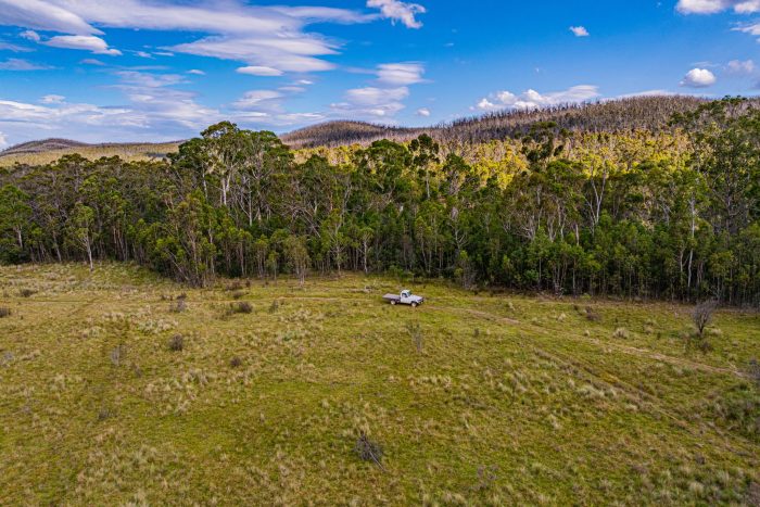 142270005__1743475411-65495-16-web-or-mls-289LittleBombayRd-16