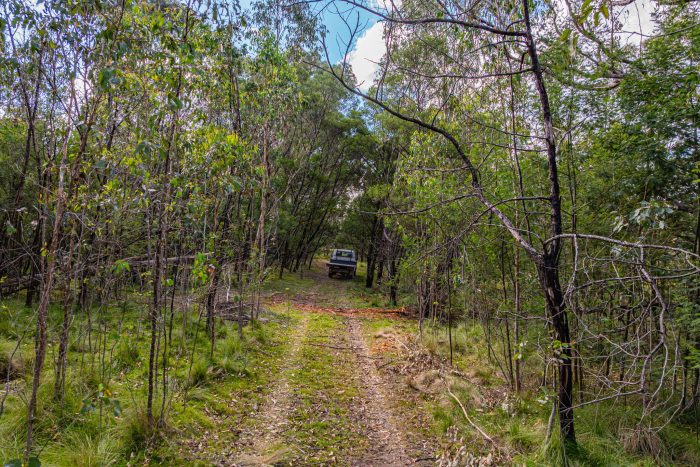 142270036__1743475413-65595-17-web-or-mls-289LittleBombayRd-17