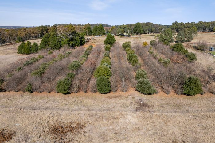 154934921__1752112536-40601-15-web-or-mls-Drone-31-Anderson-Rd-3