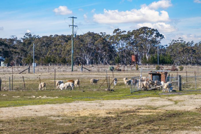 162587336__1757311297-107462-5-web-or-mls-Drone-288-Fernleigh-Cl-5