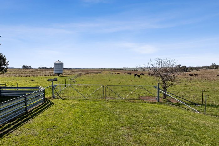 164933890__1758674253-35940-35-web-or-mls-Drone-291-Chapmans-Ln-4