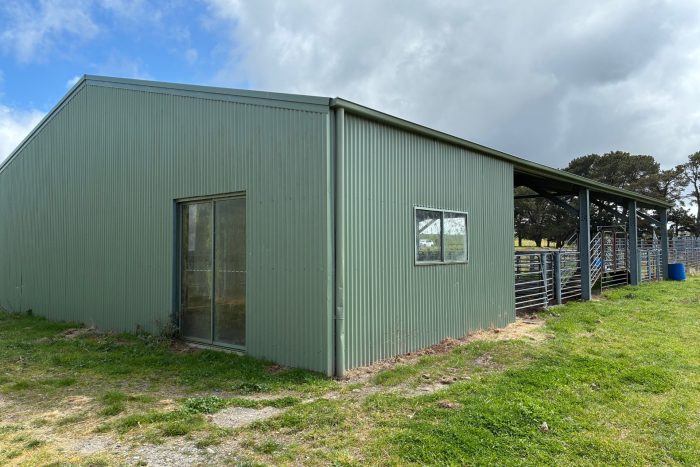 166749928__1759793995-43681-Shed