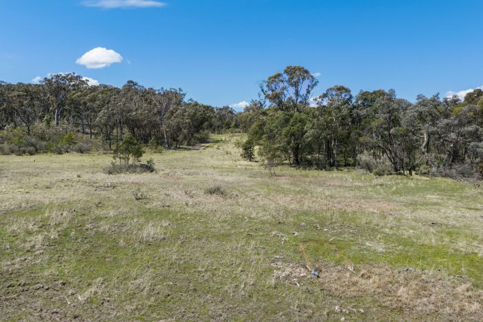 167200156__1759973581-241680-3-web-or-mls-Drone-887-Jerrara-Rd-3