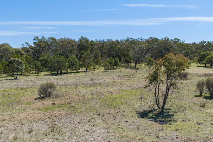 167200170__1759973586-48508-5-web-or-mls-Drone-887-Jerrara-Rd-5