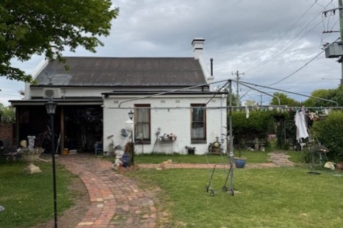 169780430__1761543134-99081-thumbnailIMG8530