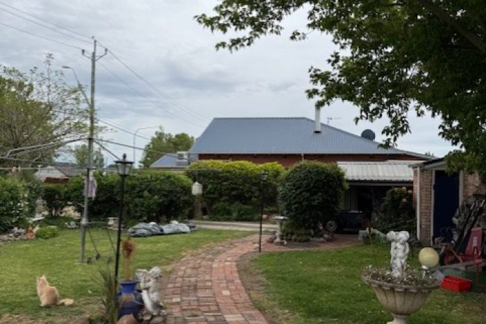 169780435__1761543136-86957-thumbnailIMG8531