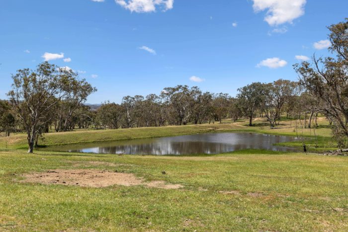 174004301__1762746452-74548-5-web-or-mls-205-Pooleys-Rd-5