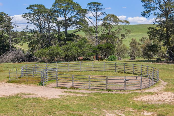 174004416__1762746473-87878-15-web-or-mls-Drone-205-Pooleys-Rd-5