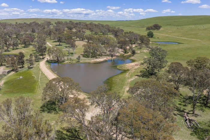 174004418__1762746475-87954-16-web-or-mls-Drone-205-Pooleys-Rd-6