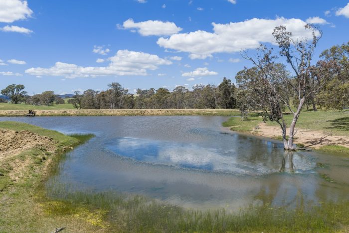 174004421__1762746476-74688-17-web-or-mls-Drone-205-Pooleys-Rd-7