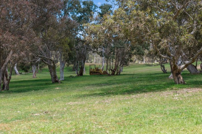 174004423__1762746478-88013-18-web-or-mls-Drone-205-Pooleys-Rd-8