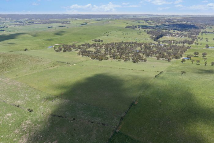 174004424__1762746479-87992-19-web-or-mls-Drone-205-Pooleys-Rd-9