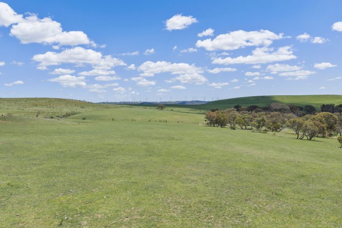 174004494__1762746491-88063-22-web-or-mls-Drone-205-Pooleys-Rd-12