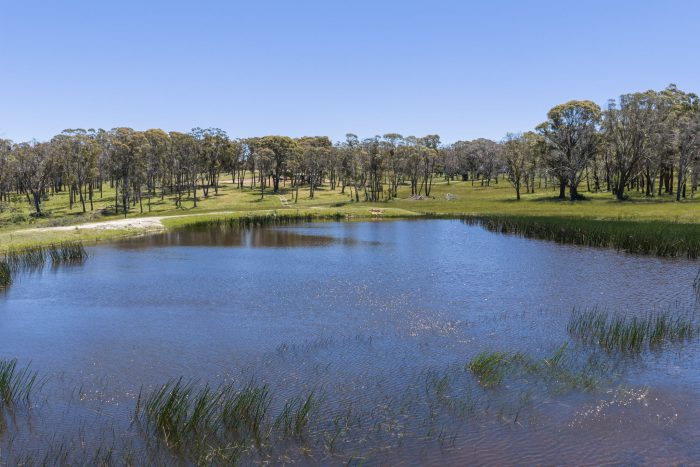 174799697__1763072371-28468-2-web-or-mls-1969-Wombeyan-Caves-Rd-2