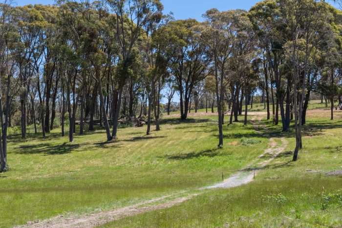 174799703__1763072374-28462-4-web-or-mls-1969-Wombeyan-Caves-Rd-4