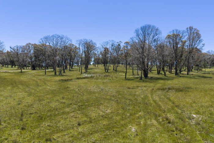 174799704__1763072376-15725-5-web-or-mls-1969-Wombeyan-Caves-Rd-5