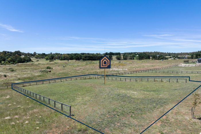 178538087__1764895533-37458-6-web-or-mls-SM-Drone-24-Platypus-Cct-1