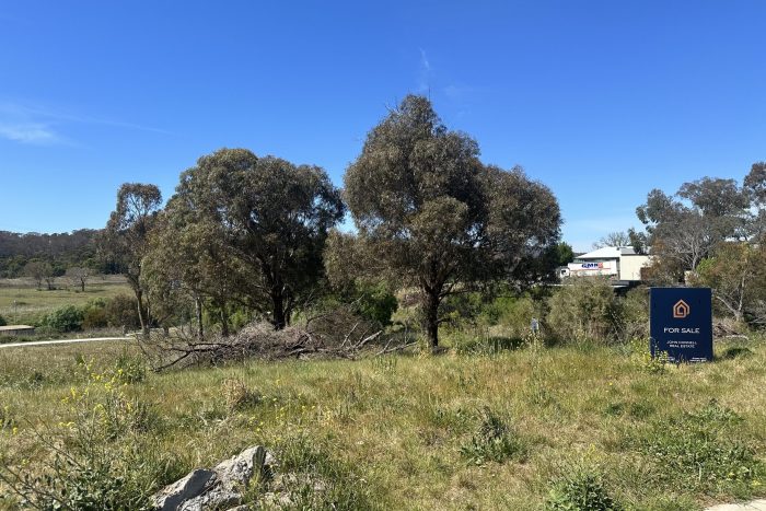 76478054__1700534189-27100-IMG8344