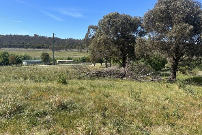 76478056__1700534193-4508-IMG8345