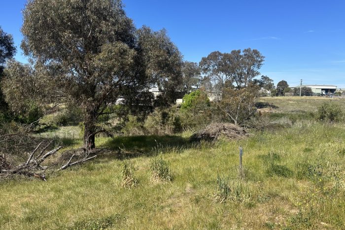 76478058__1700534197-15539-IMG8346