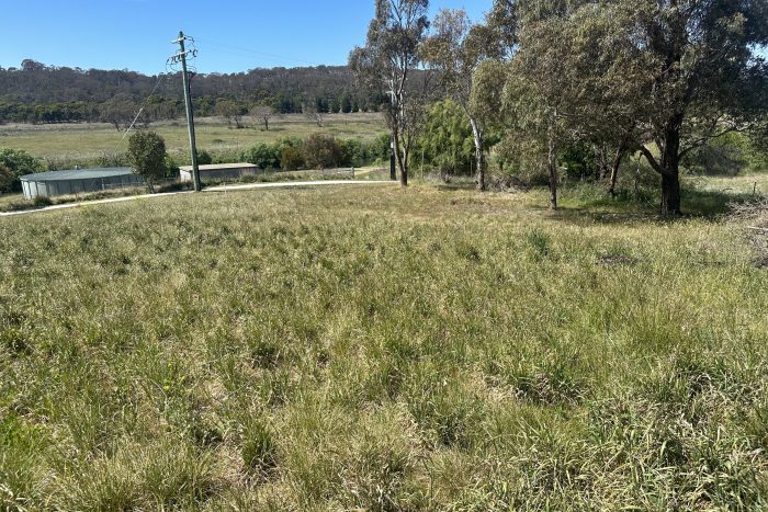 76478060__1700534202-31552-IMG8347