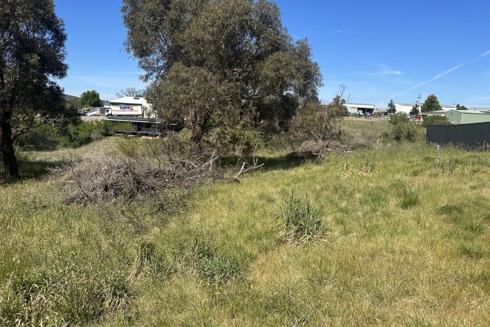 76478062__1700534206-1213-IMG8348