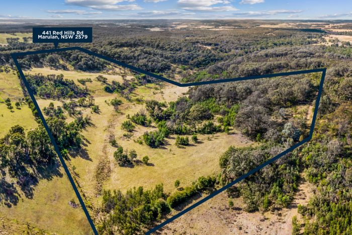 94847710__1718595612-65641-26-web-or-mls-SM-Drone-Pano-441-Red-Hills-Rd-1